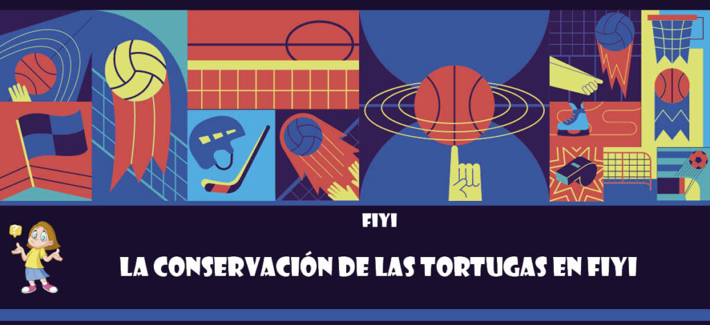 Curiosidad de Fiyi: La conservación de las tortugas en Fiyi