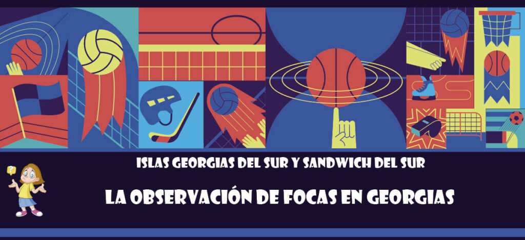 Curiosidad de Islas Georgias del Sur y Sandwich del Sur: La observación de focas en Georgias