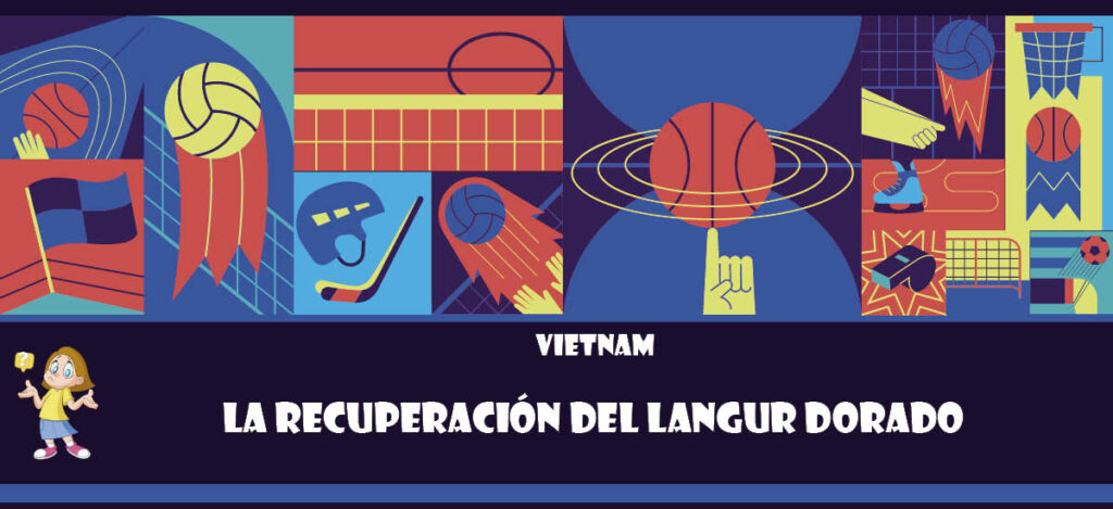 Curiosidad de Vietnam: La recuperación del langur dorado