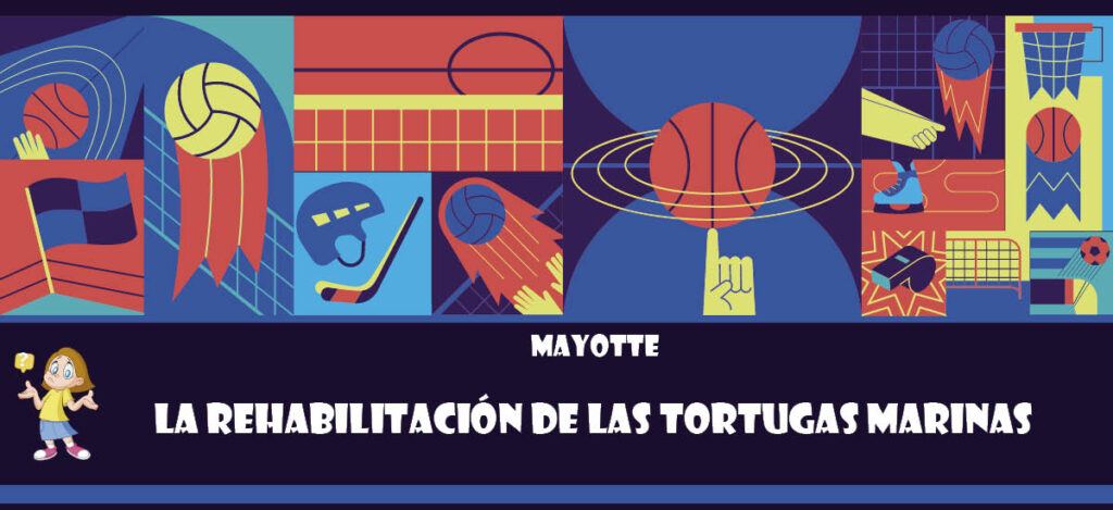 Curiosidad de Mayotte: La rehabilitación de las tortugas marinas