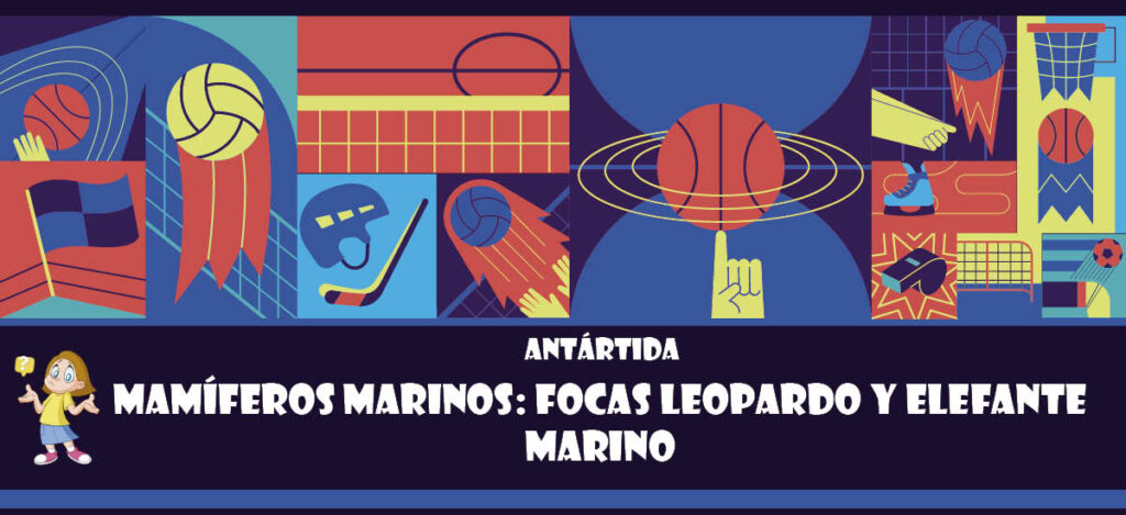 Curiosidad de Antártida: Mamíferos Marinos: Focas leopardo y elefante marino